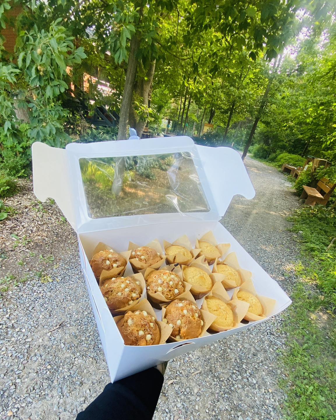 Muffins