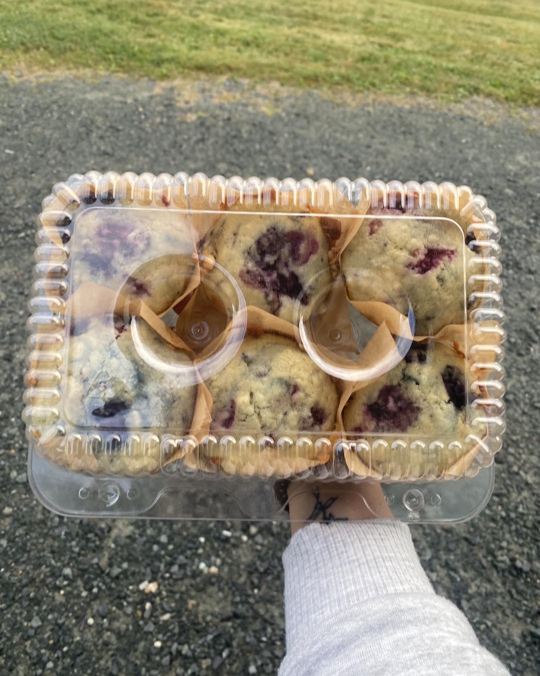 Muffins